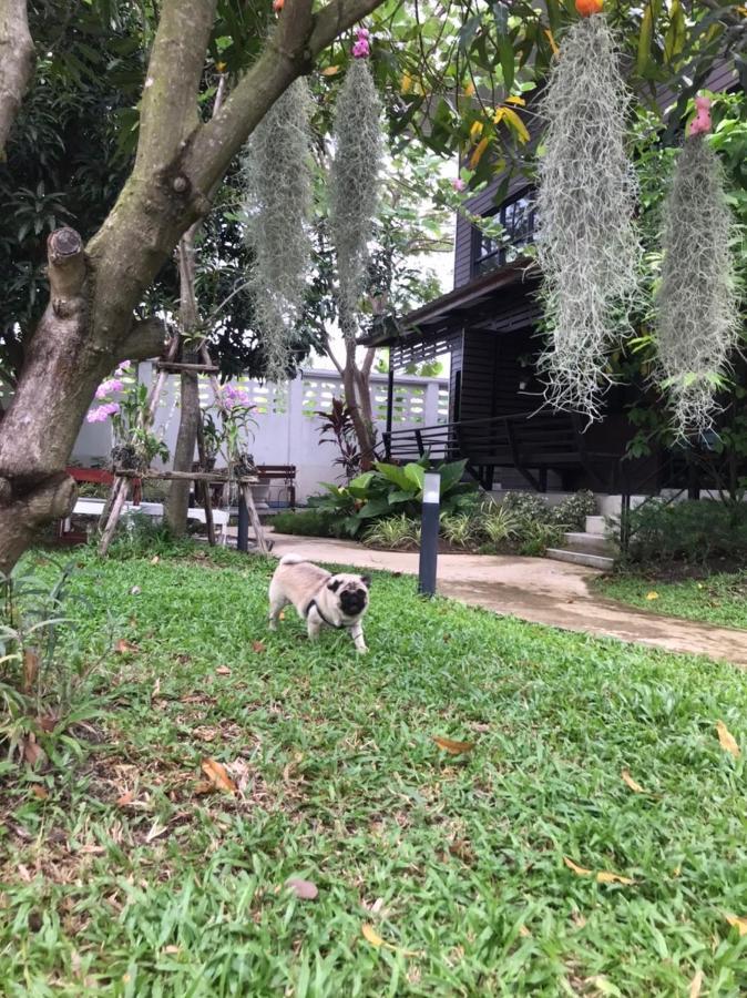 Baansuanklaiklungbangkrachao บ้านสวนใกล้กรุงบางกะเจ้า Phra Pradaeng Esterno foto